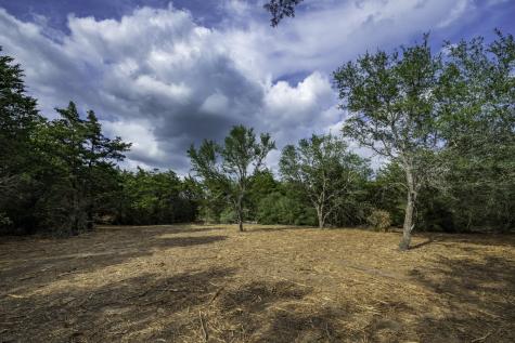 468 (Lot 16) Vineyard View Trail Carmine TX 78932