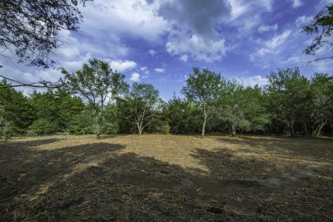 468 (Lot 16) Vineyard View Trail Carmine TX 78932