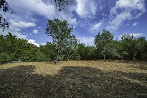 468 (Lot 16) Vineyard View Trail Carmine TX 78932