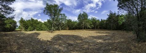 468 (Lot 16) Vineyard View Trail Carmine TX 78932