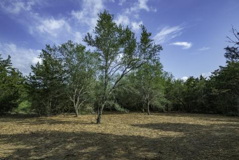468 (Lot 16) Vineyard View Trail Carmine TX 78932