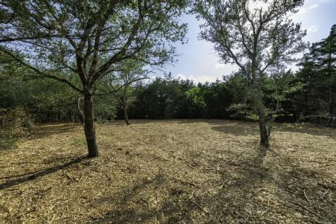 468 (Lot 16) Vineyard View Trail Carmine TX 78932