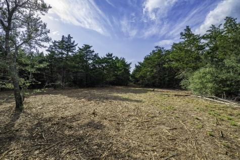 468 (Lot 16) Vineyard View Trail Carmine TX 78932