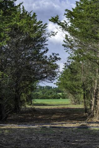 468 (Lot 16) Vineyard View Trail Carmine TX 78932