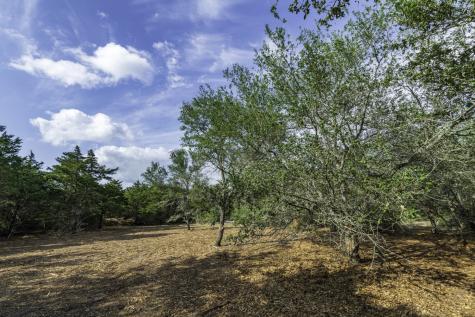 468 (Lot 16) Vineyard View Trail Carmine TX 78932