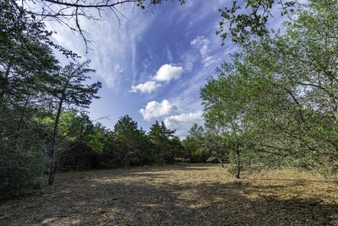 468 (Lot 16) Vineyard View Trail Carmine TX 78932