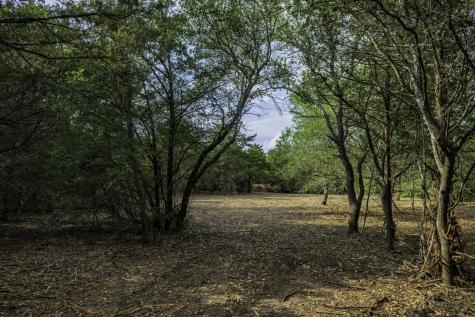 468 (Lot 16) Vineyard View Trail Carmine TX 78932