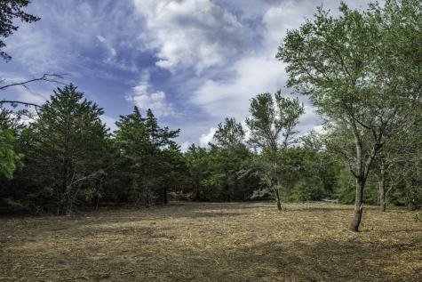 468 (Lot 16) Vineyard View Trail Carmine TX 78932