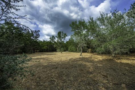 468 (Lot 16) Vineyard View Trail Carmine TX 78932