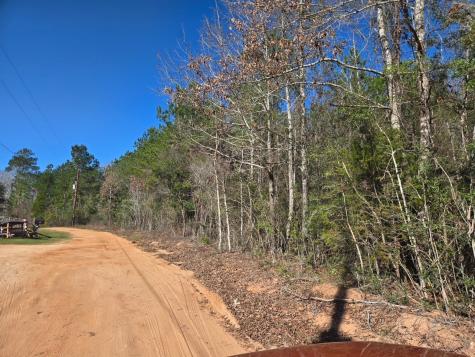 Tbd Private Road 5020 Woodville TX 75979