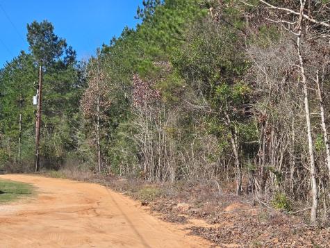 Tbd Private Road 5020 Woodville TX 75979