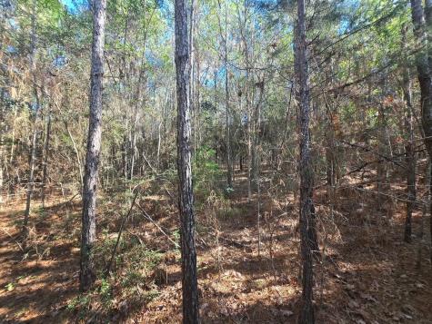Tbd Private Road 5020 Woodville TX 75979