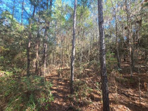 Tbd Private Road 5020 Woodville TX 75979