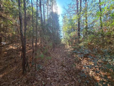 Tbd Private Road 5020 Woodville TX 75979