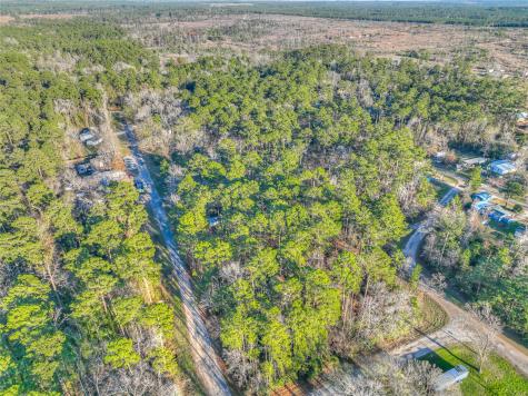 Tbd Bluebird Lane Livingston TX 77351