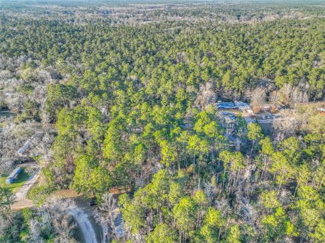Tbd Bluebird Lane Livingston TX 77351
