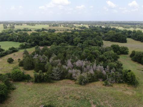 1399 Star Hill Road New Ulm TX 78950