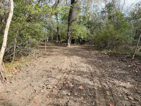 1399 Star Hill Road New Ulm TX 78950