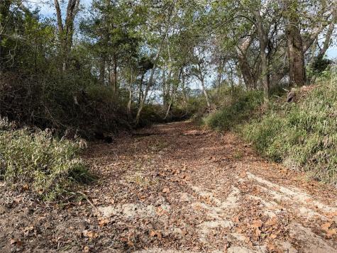 1399 Star Hill Road New Ulm TX 78950