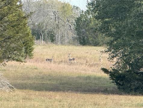 1399 Star Hill Road New Ulm TX 78950