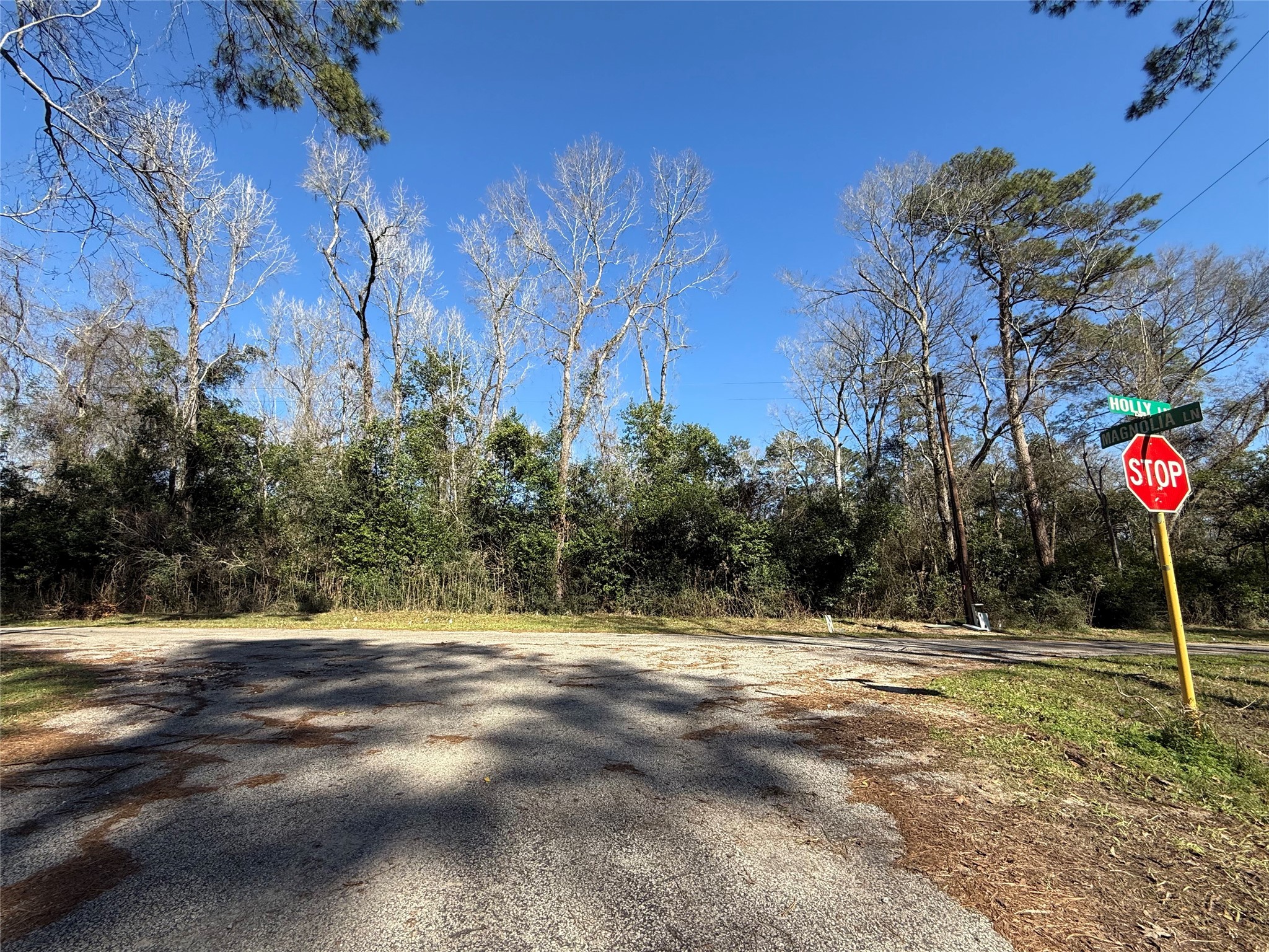 21927 Holly Lane New Caney TX 77357