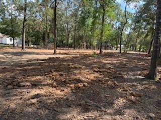 33102 Octavia Drive Magnolia TX 77354