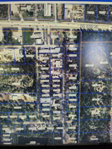 33102 Octavia Drive Magnolia TX 77354