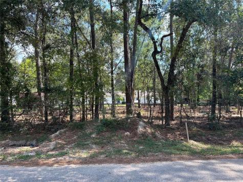 33102 Octavia Drive Magnolia TX 77354