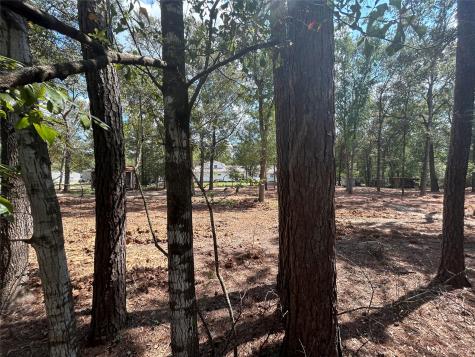 33102 Octavia Drive Magnolia TX 77354