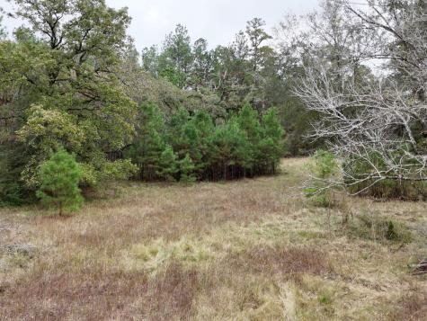 Tbd Tract 1 Percy Howard Road Huntsville TX 77320