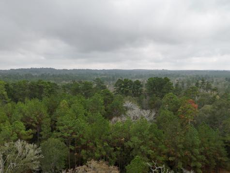 Tbd Tract 1 Percy Howard Road Huntsville TX 77320