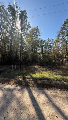 0 Brackenridge Livingston, Tx 77351 Livingston TX 77351