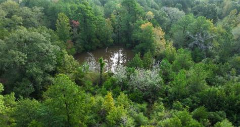 0000 Spring Branch Road Montgomery TX 77356
