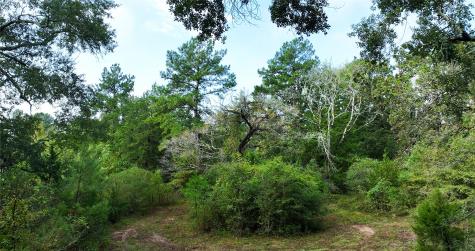 0000 Spring Branch Road Montgomery TX 77356