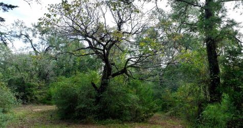 0000 Spring Branch Road Montgomery TX 77356