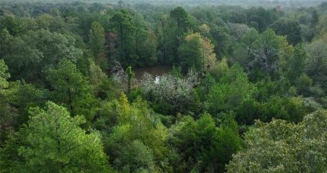 0000 Spring Branch Road Montgomery TX 77356