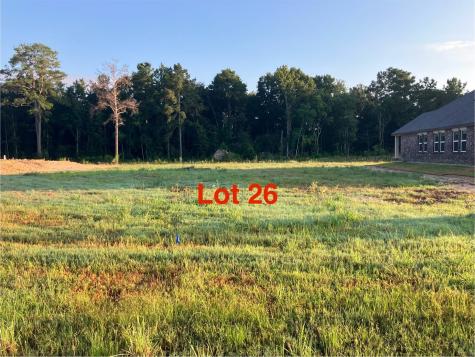 1070 Tarkington Timbers Drive Cleveland TX 77327