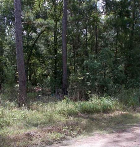 0 Creekbend Drive Plantersville TX 77363