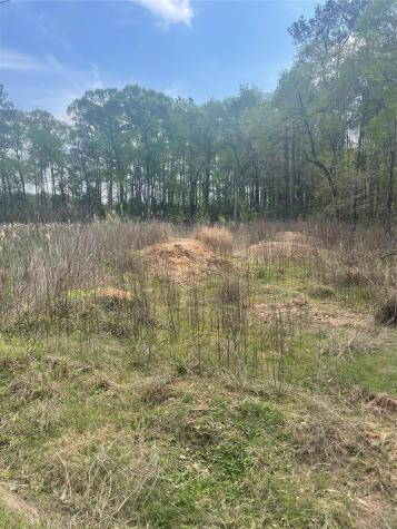 0 Creekbend Drive Plantersville TX 77363