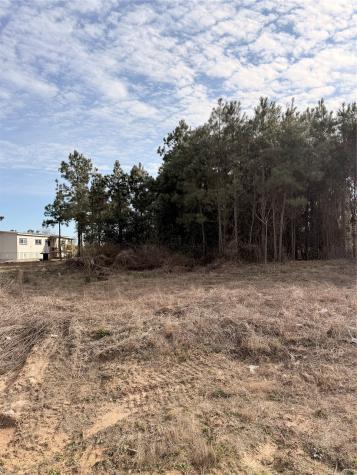 10024 Road 5868 Dayton TX 77535