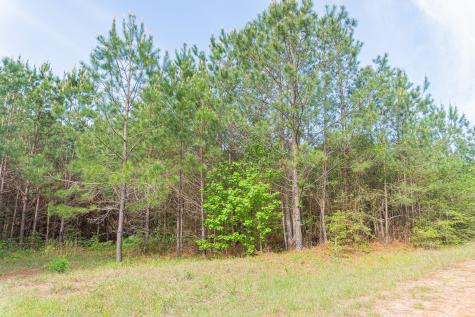 Id 25417 Lot 29 Fm 705 Broaddus TX 75929