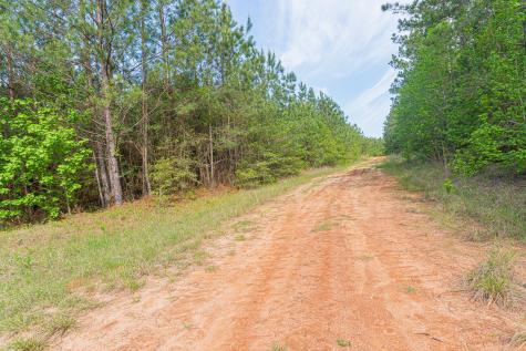 Id 25417 Lot 29 Fm 705 Broaddus TX 75929