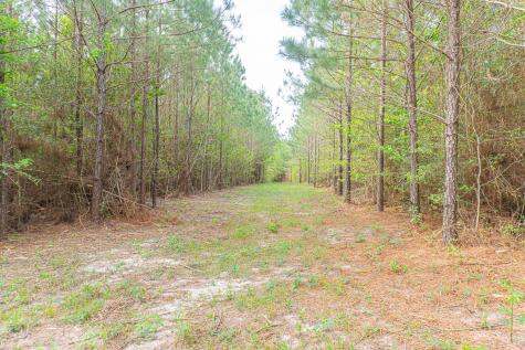 Id 25417 Lot 29 Fm 705 Broaddus TX 75929