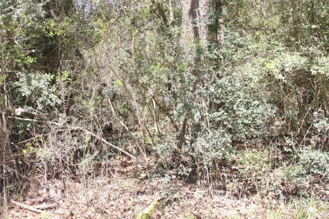 0 Knotty Pine Lane Huntsville TX 77340