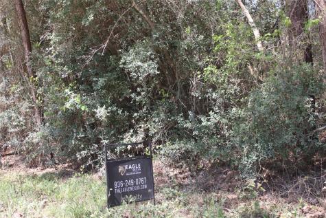 0 Knotty Pine Lane Huntsville TX 77340