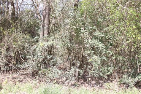 0 Knotty Pine Lane Huntsville TX 77340