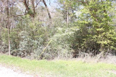 0 Knotty Pine Lane Huntsville TX 77340