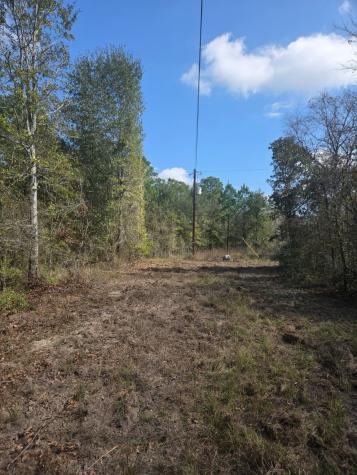 0 Archie Road Huntsville TX 77340