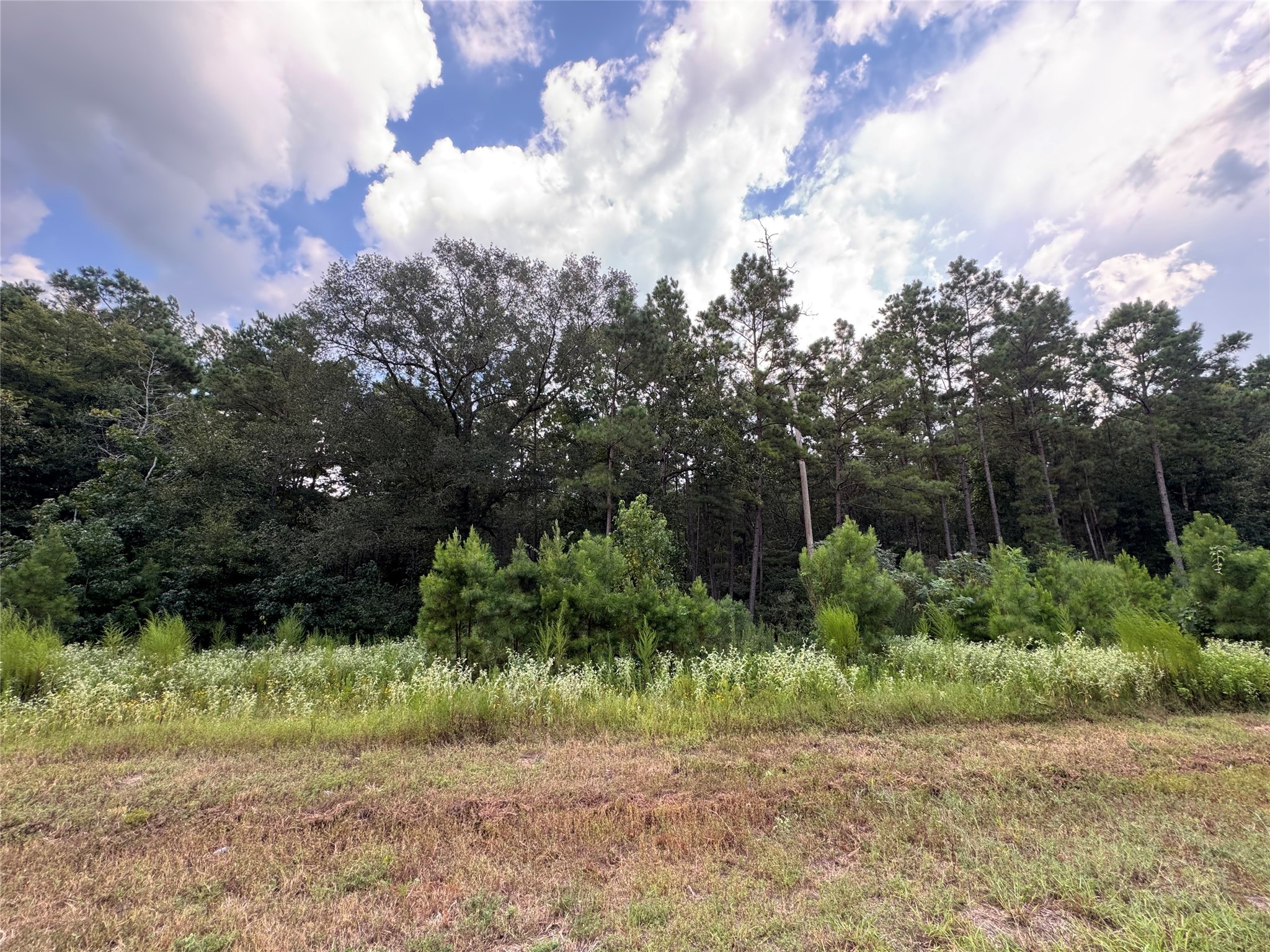 68-23-7 Sky Oak Lane Huntsville TX 77340