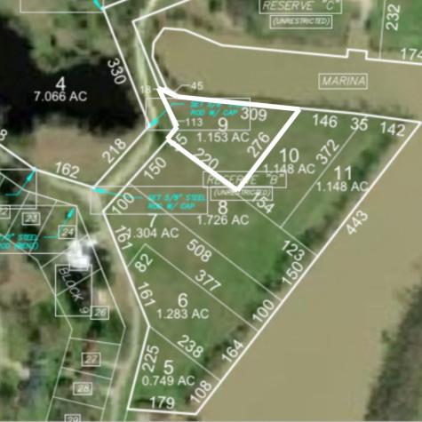 Lot 9 Lake Livingston Lane Trinity TX 75862